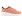 Champion Low Cut Shoe Core Element